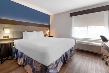 Standard Room, 1 King Bed, Non Smoking, Refrigerator & Microwave (with Sofabed)