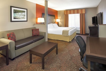 Suite, 1 King Bed (Extra Floor Space)