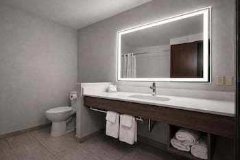 Suite, 1 Queen Bed, Fireplace