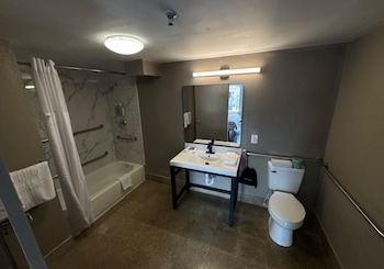Standard Room, 1 King Bed, Accessible, Non Smoking