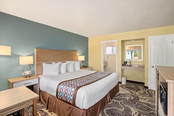 Room, 1 King Bed