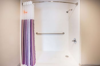Room, 1 King Bed, Roll-in Shower, Non Smoking