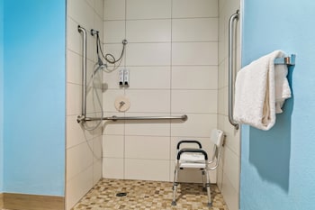 Studio, 1 King Bed, Accessible, Non Smoking (Roll-In Shower)
