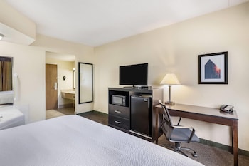 Deluxe Room, 1 King Bed, Non Smoking