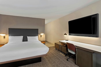 Room, 1 King Bed with Sofa bed, Hearing Accessible (Accessible Bathtub)