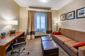 Studio Suite, 1 king bed with sofa bed
