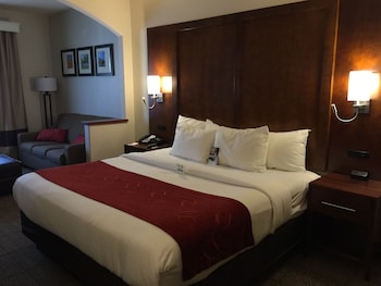 Studio Suite, 1 king bed with sofa bed