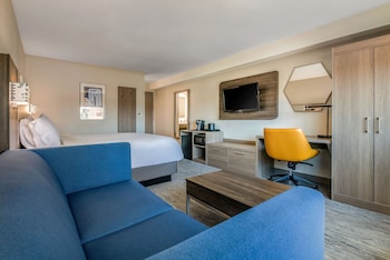 Standard Room, 1 King Bed with Sofa bed