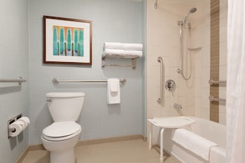 Room, 1 King Bed, Accessible, Bathtub