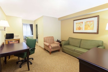 Suite, 1 King Bed, Non Smoking (One-Bedroom)