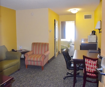 Suite, 1 King Bed, Non Smoking (One-Bedroom)