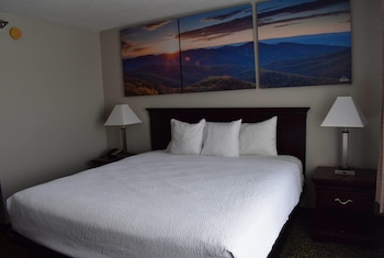 Room, 1 King Bed, Non Smoking