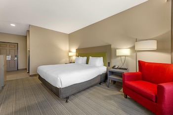 Room, 1 King Bed, Non Smoking