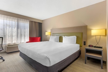 Room, 1 King Bed, Accessible, Non Smoking