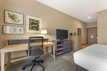 Room, 1 King Bed, Non Smoking