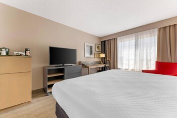 Room, 1 King Bed, Accessible, Non Smoking