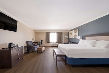 Standard Room, 1 King Bed, Non Smoking, Refrigerator & Microwave