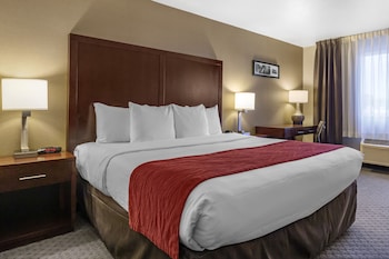 Room, 1 Queen Bed, Non Smoking