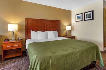 Suite, 1 Queen Bed with Sofa bed, Non Smoking (Upgrade)