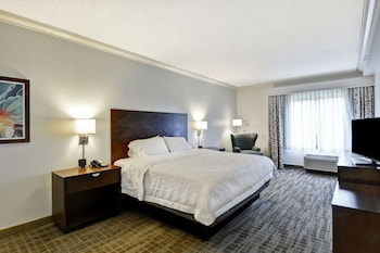Apartment, 1 King Bed, Accessible, Bathtub (Mobility)