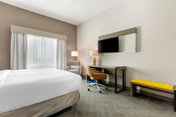 Room, 1 King Bed, Non Smoking