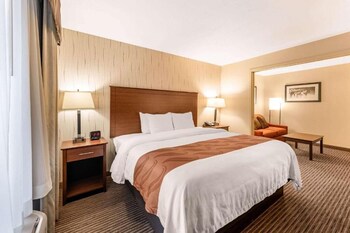Suite, 1 King Bed, Non Smoking