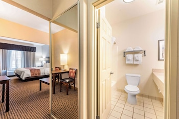 Suite, 1 King Bed with Sofa bed, Accessible, Non Smoking