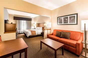 Suite, 1 King Bed with Sofa bed, Accessible, Non Smoking