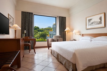 Room, 1 King Bed
