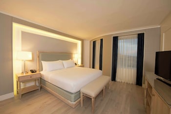 Junior Suite, 1 King Bed