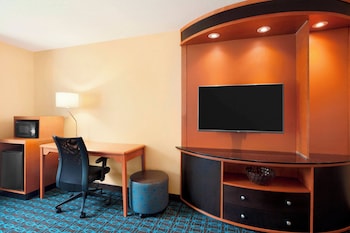 Suite, 1 King Bed with Sofa bed