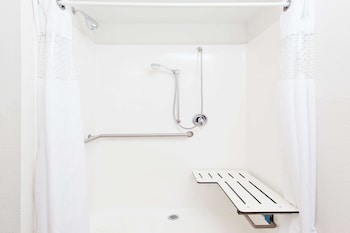 Room, Accessible, Non Smoking (Roll-In Shower)
