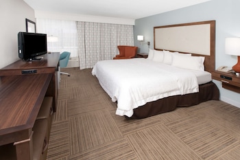 Room, 1 King Bed, Accessible, Bathtub (Non-Smoking)