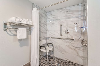 Room, 1 King Bed, Accessible, Non Smoking