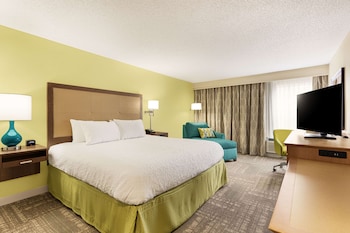 Room, 1 King Bed, Non Smoking