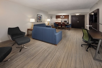 Suite, 1 King Bed, Mountain View