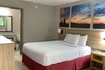 Room, 1 Queen Bed, Accessible