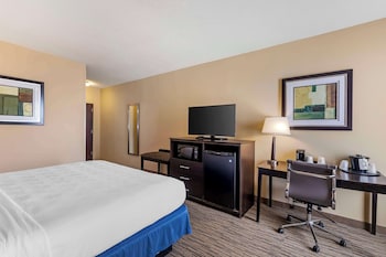Standard Room, 1 King Bed, Non Smoking, Refrigerator & Microwave