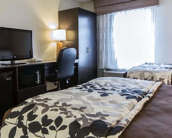 Standard Double Room, 2 Double Beds, Non Smoking