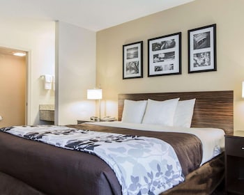Standard Room, 1 King Bed, Non Smoking