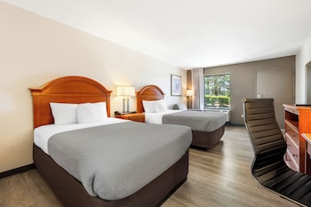 Standard Double Room, 2 Double Beds, Non Smoking