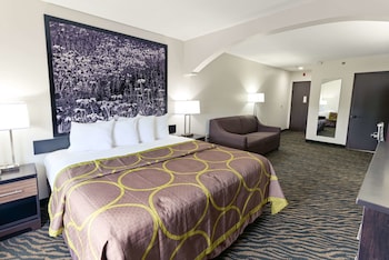 Room, 1 King Bed, Mobility Accessible with Sleeper Sofa, Non Smoking