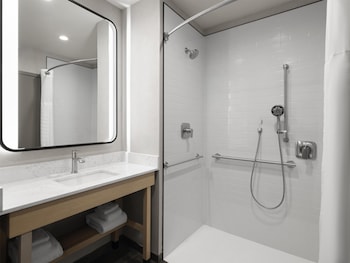 Room, 1 King Bed, Roll-in Shower (Accesible)