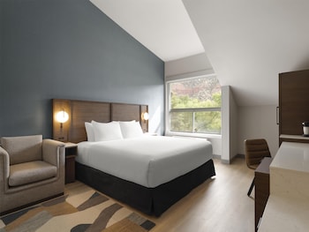 Room, 1 King Bed, Roll-in Shower (Accesible)