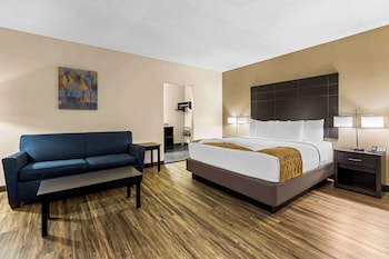 Standard Room, 1 King Bed with Sofa bed, Non Smoking, Fireplace (with Sofabed)