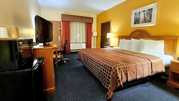 Room, 1 King Bed, Non Smoking, Refrigerator & Microwave