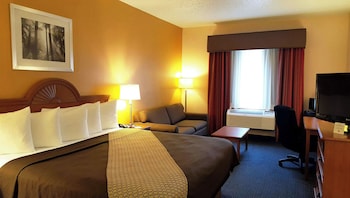 Room, 1 King Bed, Non Smoking, Refrigerator & Microwave