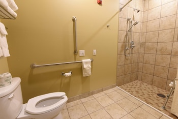 Standard Room, 1 King Bed, Accessible, Refrigerator & Microwave
