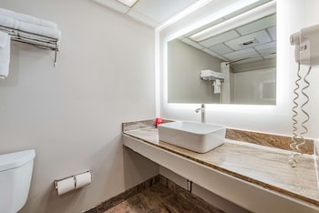 Standard Room, 2 Double Beds, Non Smoking, Refrigerator & Microwave (Pet Friendly)