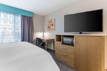 Suite, 1 King Bed with Sofa bed, Non Smoking, Refrigerator & Microwave (with Sofabed)